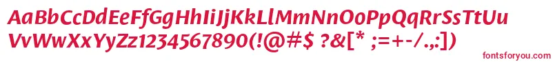 LeksasansproBoldItalic Font – Red Fonts