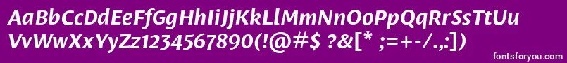 fuente LeksasansproBoldItalic – Fuentes Blancas Sobre Fondo Morado