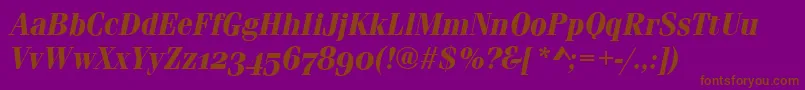 FerraraOsfBolditalic Font – Brown Fonts on Purple Background