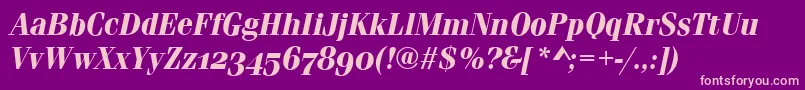 FerraraOsfBolditalic Font – Pink Fonts on Purple Background