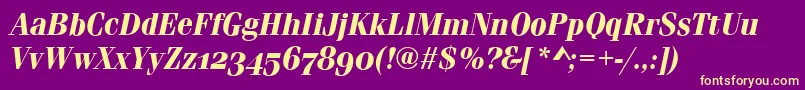 FerraraOsfBolditalic Font – Yellow Fonts on Purple Background