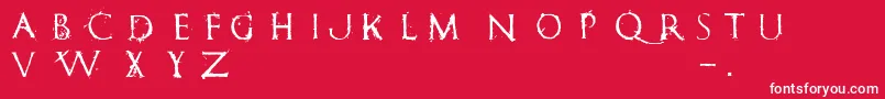 RomanumEst-Schriftart – Weiße Schriften auf rotem Hintergrund