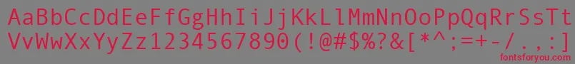 AndaleMono Font – Red Fonts on Gray Background