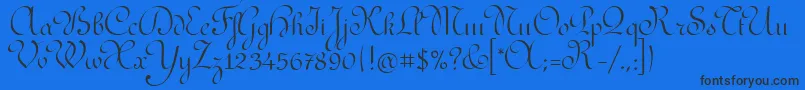 RedondaitcTt Font – Black Fonts on Blue Background