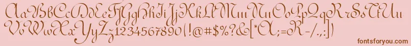 RedondaitcTt Font – Brown Fonts on Pink Background