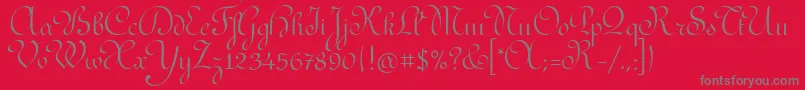 RedondaitcTt-Schriftart – Graue Schriften auf rotem Hintergrund