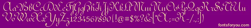 RedondaitcTt-Schriftart – Gelbe Schriften auf violettem Hintergrund