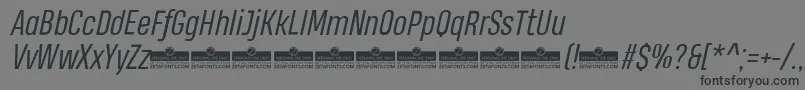HeadingProBookItalicTrial Font – Black Fonts on Gray Background