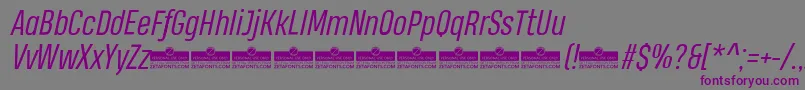 HeadingProBookItalicTrial Font – Purple Fonts on Gray Background