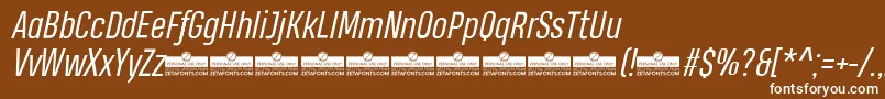 HeadingProBookItalicTrial Font – White Fonts on Brown Background