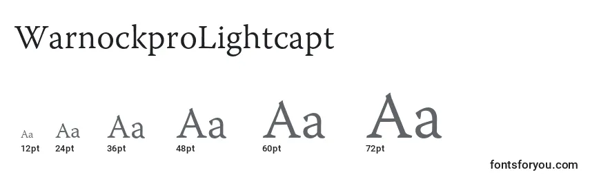 WarnockproLightcapt Font Sizes