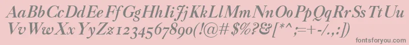 CaslonClassicoBolditalicフォントについての詳細 フォントCaslonClassicoBolditalic – ピンクの背景に灰色の文字