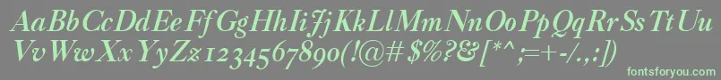 Czcionka CaslonClassicoBolditalic – zielone czcionki na szarym tle