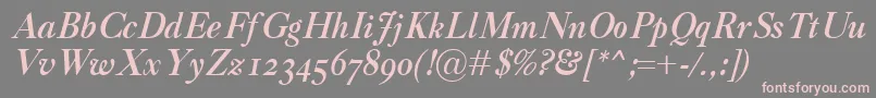 CaslonClassicoBolditalic Font – Pink Fonts on Gray Background