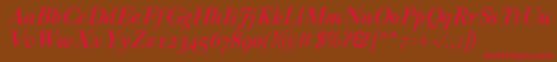 CaslonClassicoBolditalic Font – Red Fonts on Brown Background