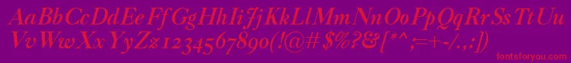 CaslonClassicoBolditalic Font – Red Fonts on Purple Background