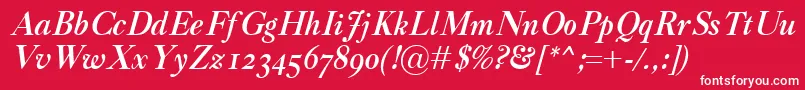 CaslonClassicoBolditalic Font – White Fonts on Red Background