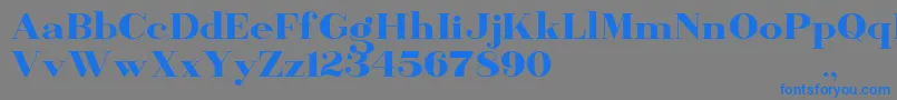 BanburyDemo Font – Blue Fonts on Gray Background
