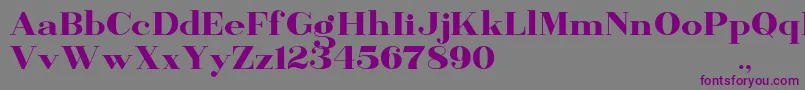 Шрифт BanburyDemo – фиолетовые шрифты на сером фоне
