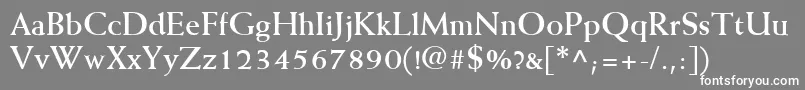 WeissLtBold Font – White Fonts on Gray Background