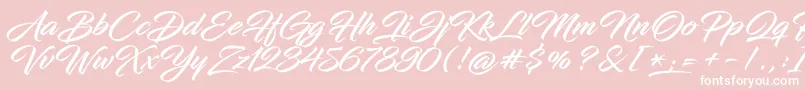 InfiniteStrokeBolder Font – White Fonts on Pink Background