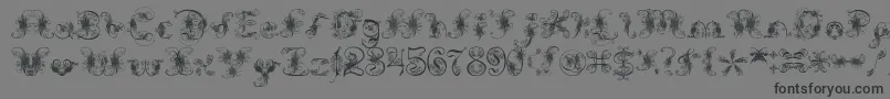 ExtravagantPete Font – Black Fonts on Gray Background