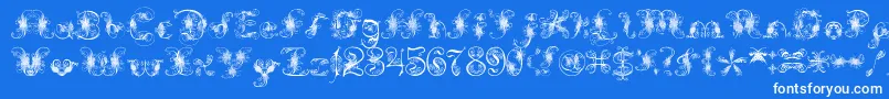 ExtravagantPete-Schriftart – Weiße Schriften auf blauem Hintergrund