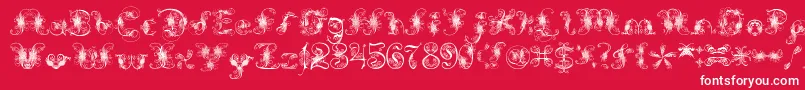ExtravagantPete-fontti – valkoiset fontit punaisella taustalla