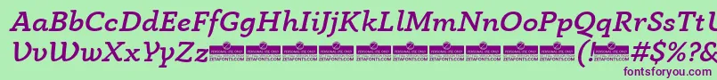 AnaphoraMediumItalicTrial Font – Purple Fonts on Green Background