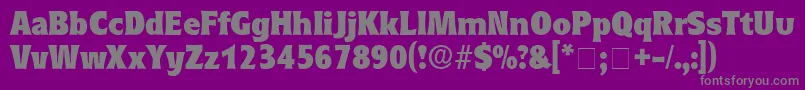 EleutheriaDisplaySsi Font – Gray Fonts on Purple Background