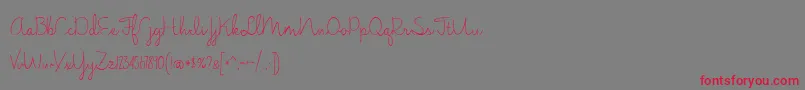 BmdJasmineReminiscentseLight Font – Red Fonts on Gray Background