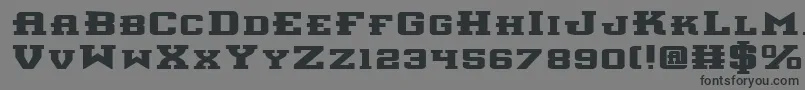 InterceptorBoldExpanded Font – Black Fonts on Gray Background