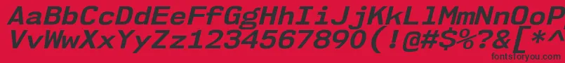 Nk57MonospaceSeBdIt Font – Black Fonts on Red Background