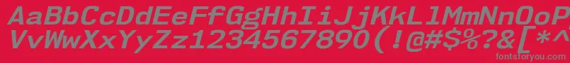 Nk57MonospaceSeBdIt Font – Gray Fonts on Red Background