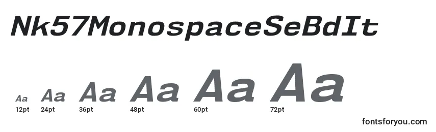 Nk57MonospaceSeBdIt Font Sizes