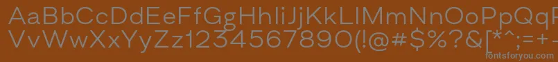 AsketExtendedLight Font – Gray Fonts on Brown Background