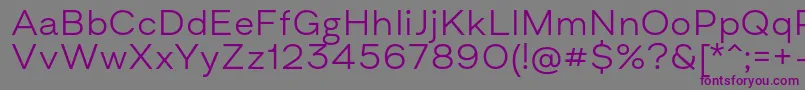 AsketExtendedLight-Schriftart – Violette Schriften auf grauem Hintergrund