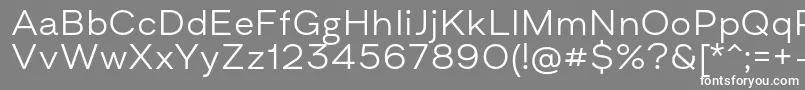 Шрифт AsketExtendedLight – белые шрифты на сером фоне
