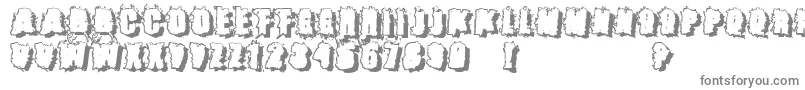 フォントCatch22 ffy – 白い背景に灰色の文字