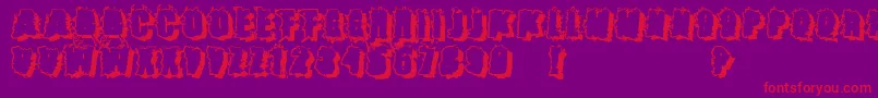 Catch22 ffy Font – Red Fonts on Purple Background