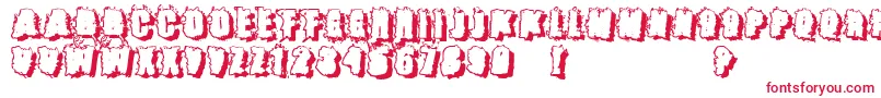 Catch22 ffy-Schriftart – Rote Schriften