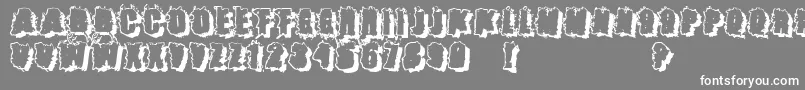 フォントCatch22 ffy – 灰色の背景に白い文字