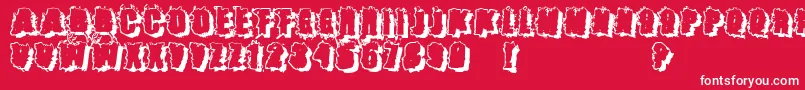 Catch22 ffy-Schriftart – Weiße Schriften auf rotem Hintergrund