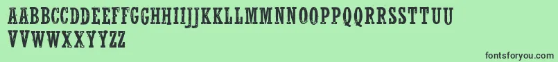 WolfrednelsonLight Font – Black Fonts on Green Background