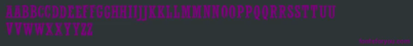 Шрифт WolfrednelsonLight – фиолетовые шрифты на чёрном фоне