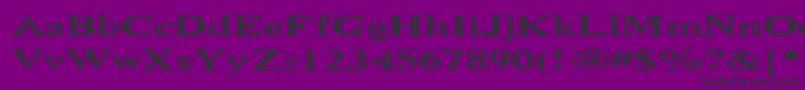 NiewCromagnonWide Font – Black Fonts on Purple Background