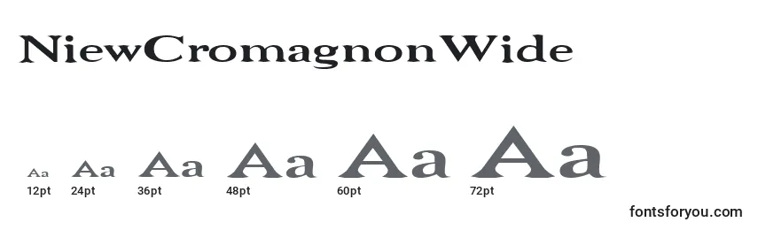 NiewCromagnonWide Font Sizes
