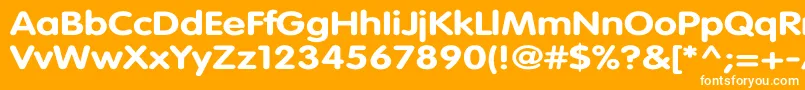 フォントVagroundedBoldWd – オレンジの背景に白い文字