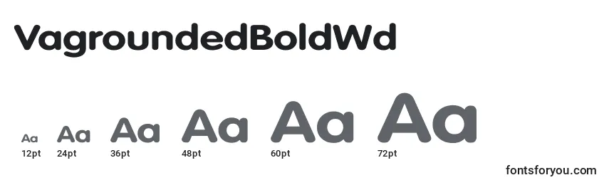 VagroundedBoldWd Font Sizes