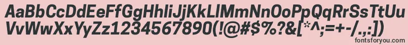 CooperhewittBolditalic Font – Black Fonts on Pink Background